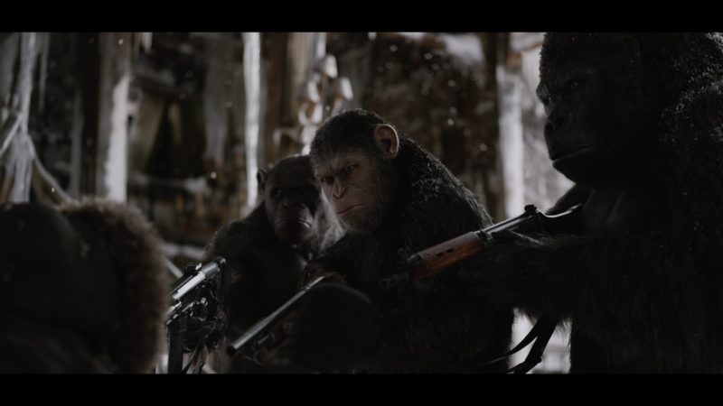 【猩球崛起War for the Planet of the Apes】背水一戰！人類與猩猩族們的誰會勝出？