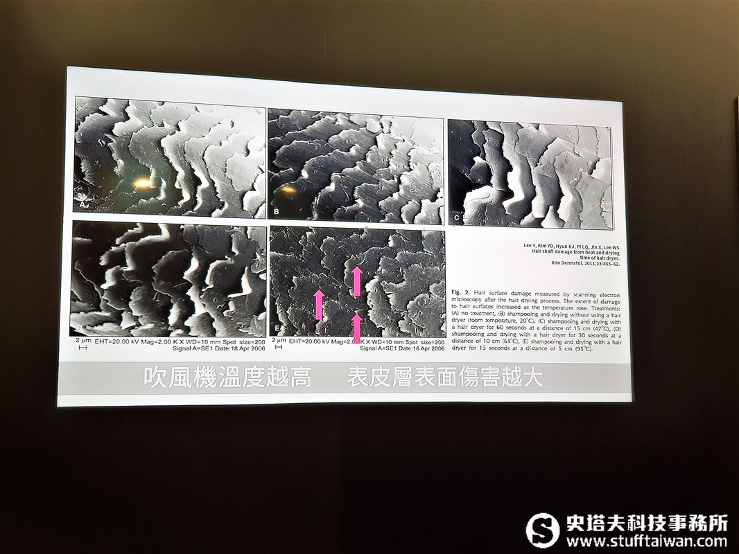 拔掉白頭髮會長出更多？Dyson頭髮學堂解開頭髮的各種疑惑